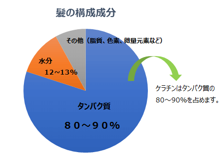 髪の構成成分