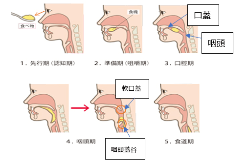 飲み込みやすい食品と飲み込みにくい食品 まごころ弁当