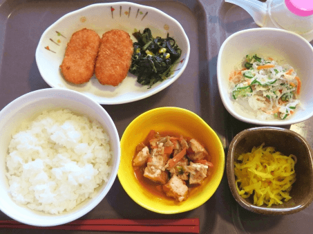 タンパク制限食