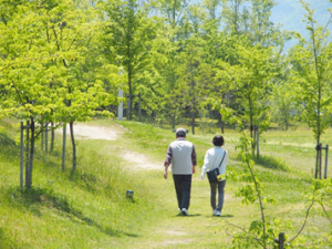 必要な栄養を上手にとるコツ