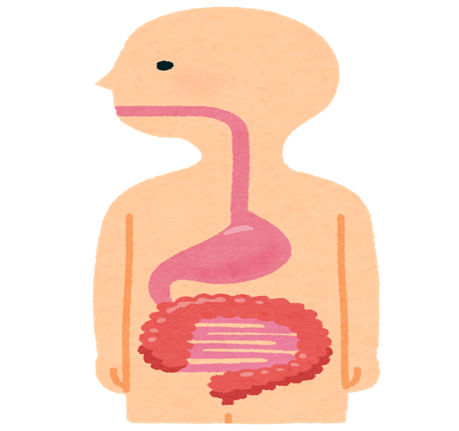 生活習慣で引き起こされる消化管の病気