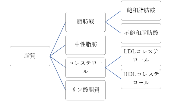 脂質の種類