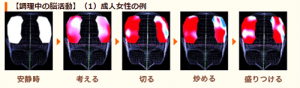 調理中の脳活動